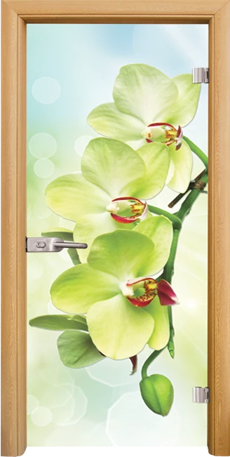 Стъклена интериорна врата, Print G 13-3 Green във Варна Стъклена интериорна врата, Print G 13-3 Green във Варна