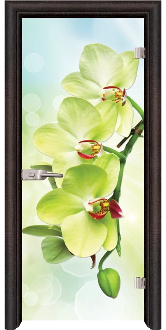 Стъклена интериорна врата, Print G 13-3 Green във Варна Стъклена интериорна врата, Print G 13-3 Green във Варна