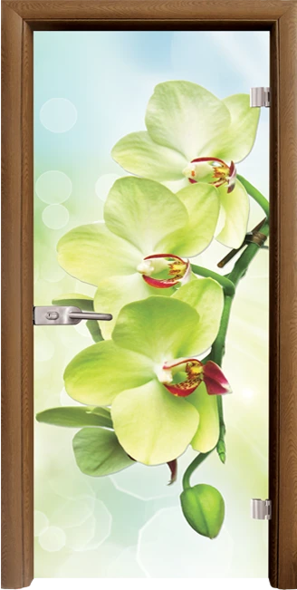 Стъклена интериорна врата, Print G 13-3 Green във Варна Стъклена интериорна врата, Print G 13-3 Green във Варна