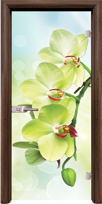 Стъклена интериорна врата, Print G 13-3 Green във Варна Стъклена интериорна врата, Print G 13-3 Green във Варна