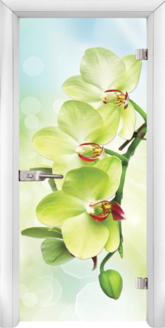 Стъклена интериорна врата, Print G 13-3 Green във Варна Стъклена интериорна врата, Print G 13-3 Green във Варна