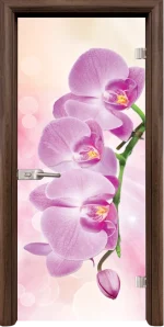 Стъклена интериорна врата, Print G 13-3 Pink във Варна